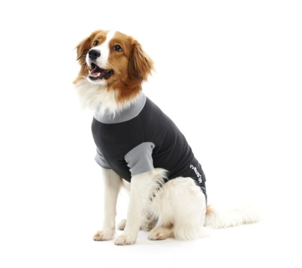 Buster Body Suit til hunde / "Recover overall". Sort/Grå