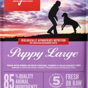 Orijen Puppy Large Breed. Kornfrit hundefoder.