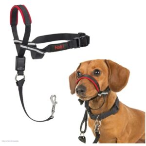 Halti Optifit Snudesele til hunde der trækker meget, Small