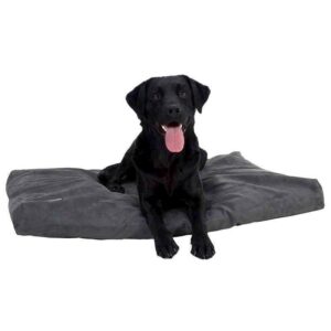 Memory foam hundeseng, Grå, 100 x 120 cm