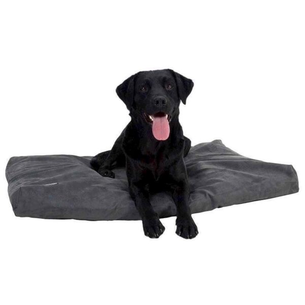 Memory foam hundeseng, Grå, 100 x 70 cm